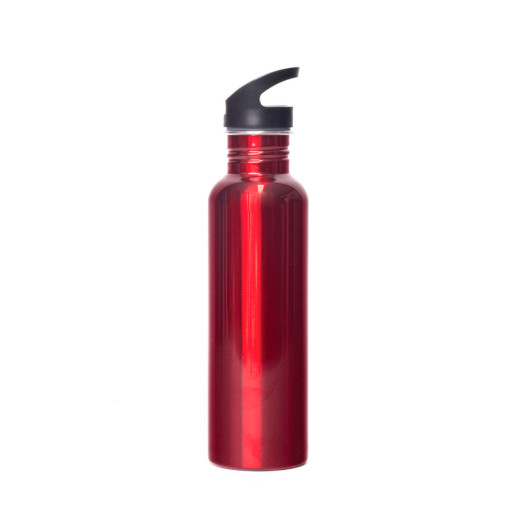 Central Shore Straw Water Bottles Red